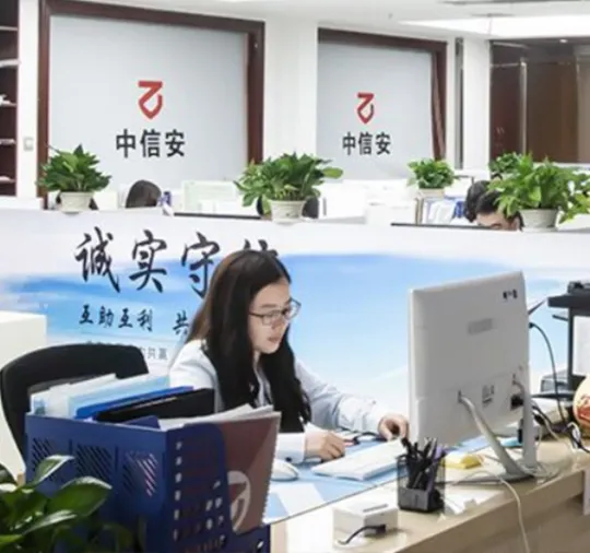 Hunan Zhongxin'an Technology Co., Ltd.